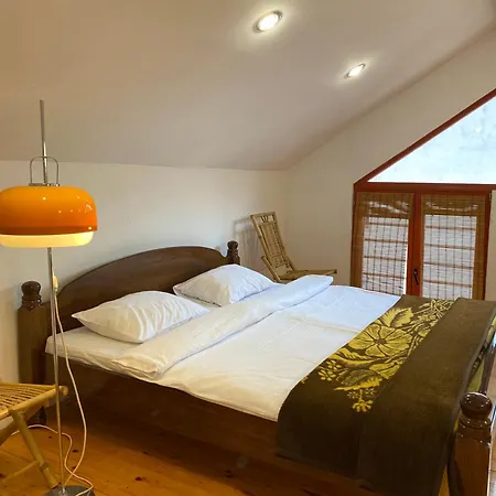Apartmán Superstar Soko Banja