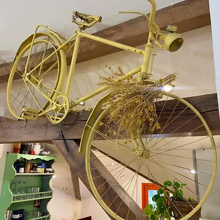 Superstar * Sokobanja