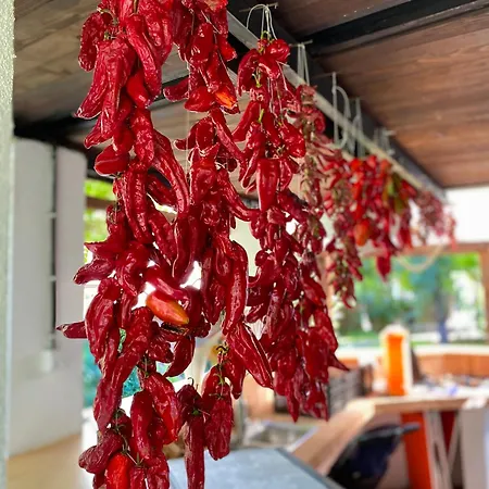 Superstar Apartment Sokobanja