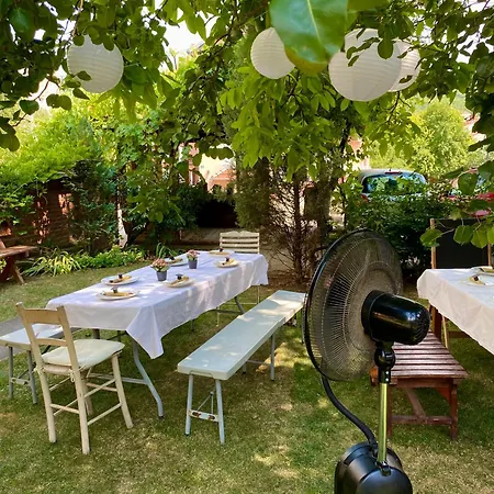 Superstar * Sokobanja