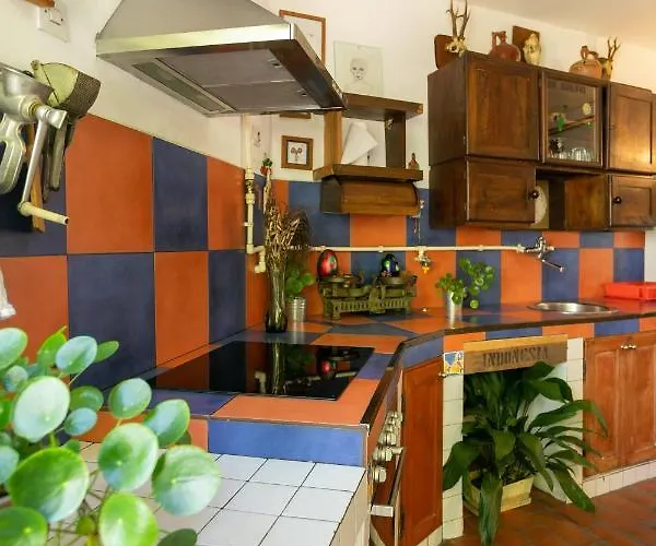 Superstar 소코 반자