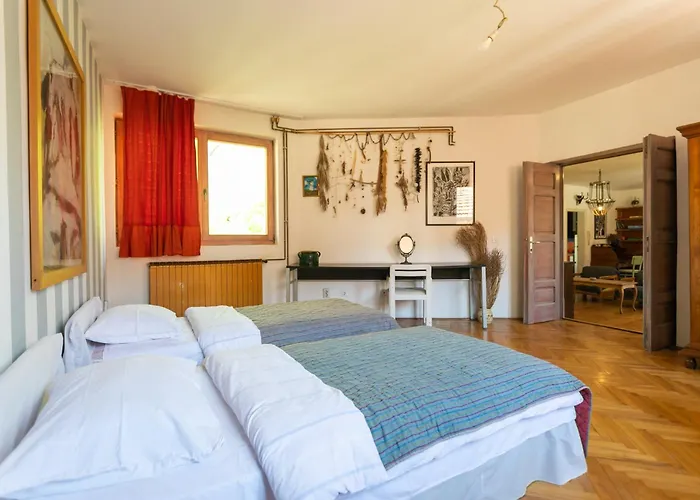 Superstar 소코 반자