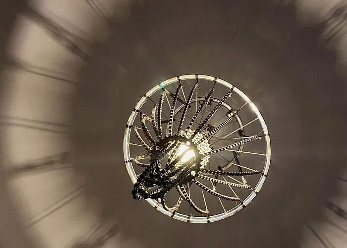 Superstar 아파트 소코 반자