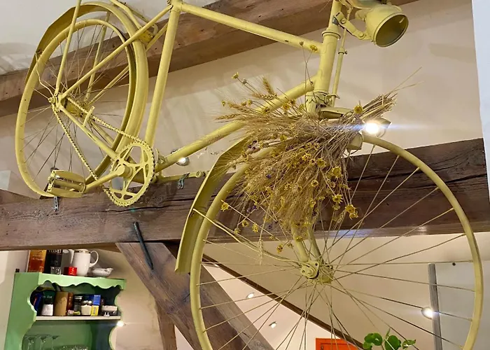 Superstar * 소코 반자