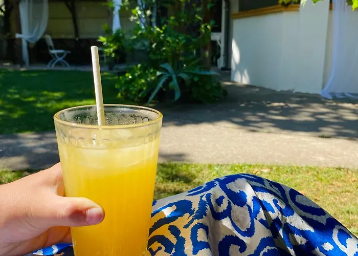 Superstar 아파트 소코 반자