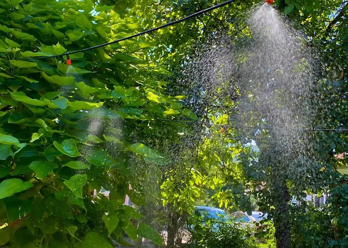 Superstar * 소코 반자