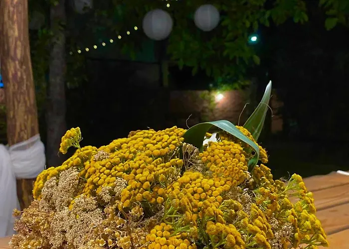 아파트 Superstar *