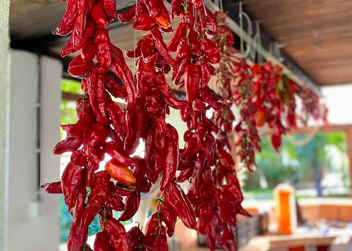 Superstar 아파트 소코 반자