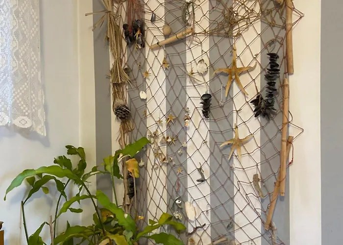 Superstar 소코 반자