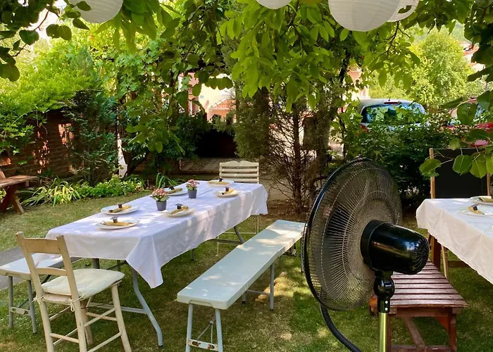 Superstar * 소코 반자