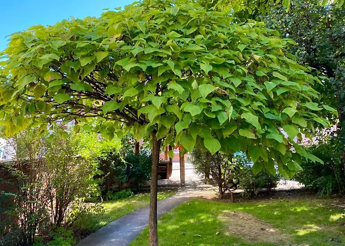 Superstar 아파트 *