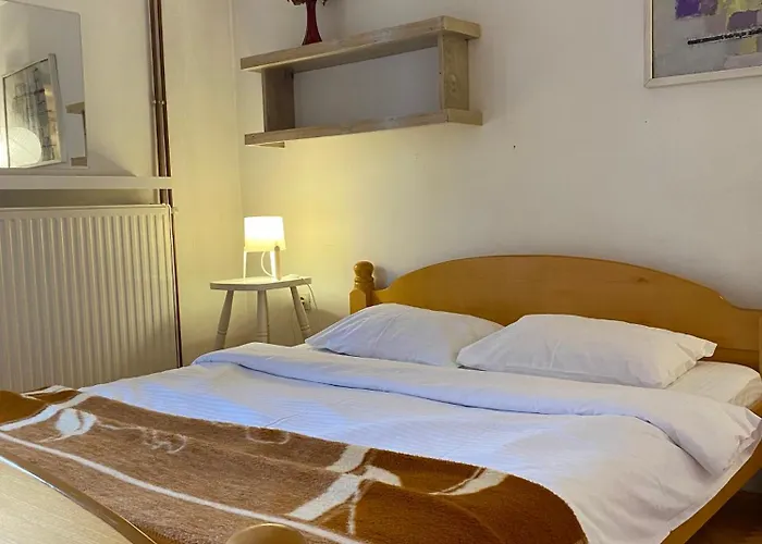 Superstar 아파트 소코 반자